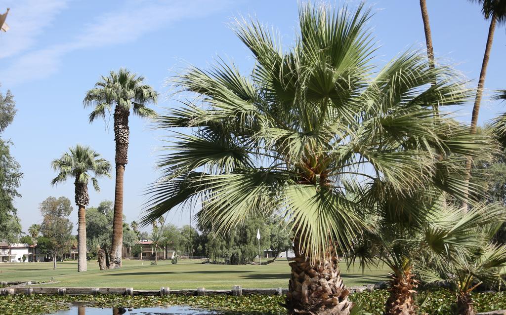 Barbara Worth Golf Resort Holtville Exterior photo